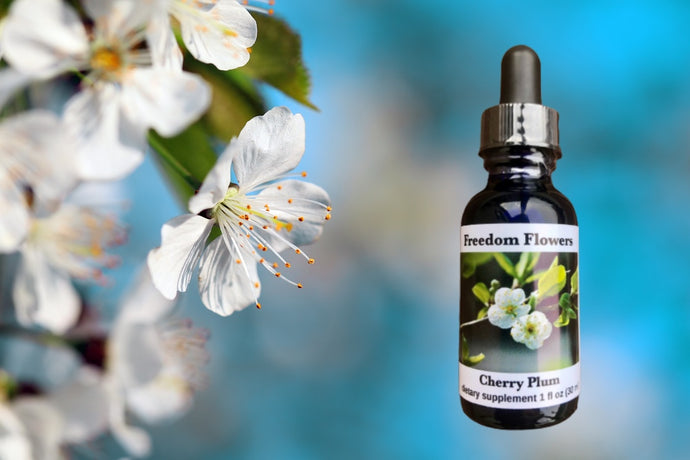 Cherry Plum Flower Essence