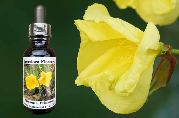 Missouri Primrose Flower Essence