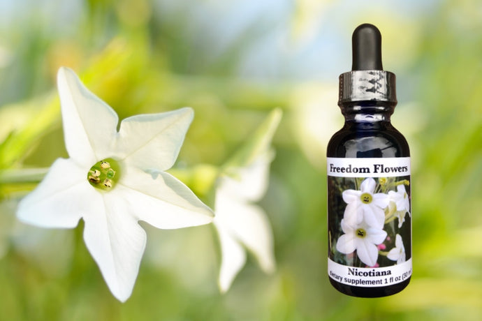 Nicotiana Flower Essence