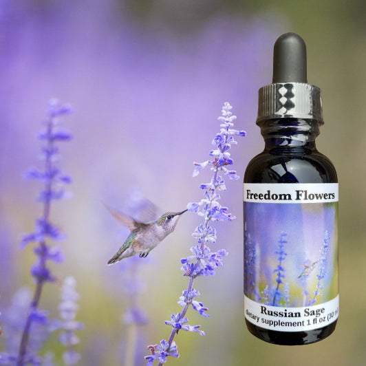 Russian Sage Flower Essence