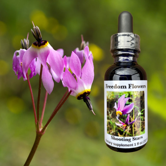 Shooting Star Flower Essence