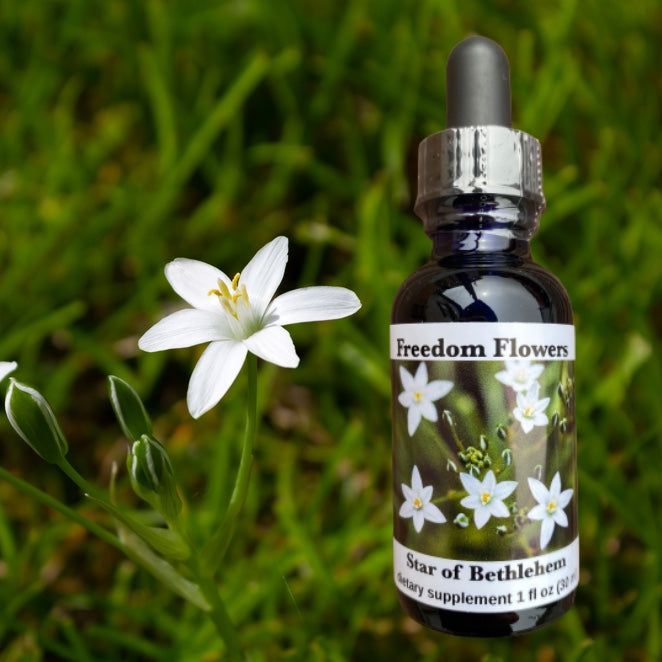 Star of Bethlehem Flower Essence