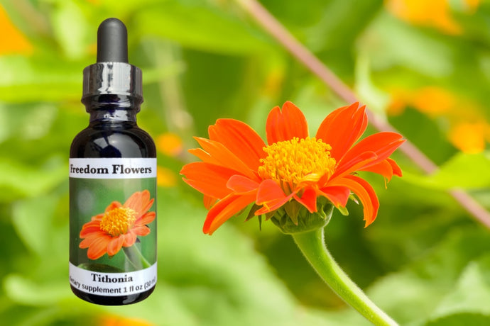 Tithonia Flower Essence