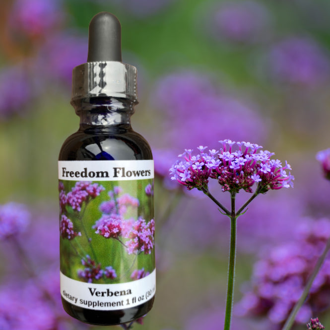 Verbena Flower Essence