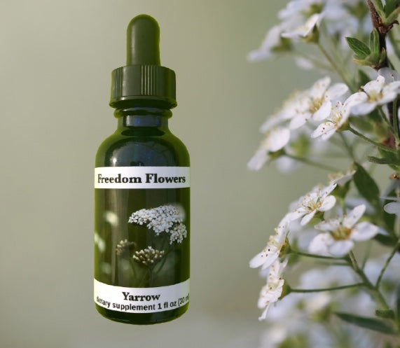 Yarrow Flower Essence