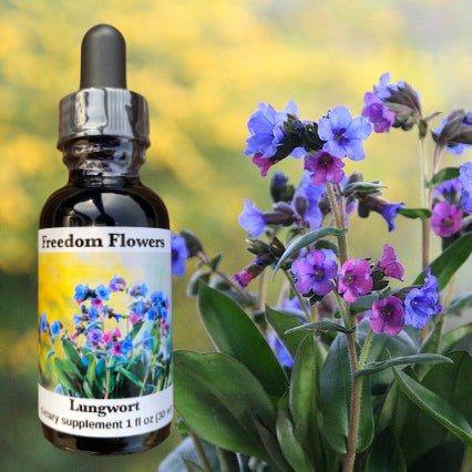 Lungwort Flower Essence