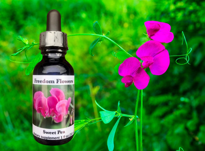 Sweet Pea Flower Essence