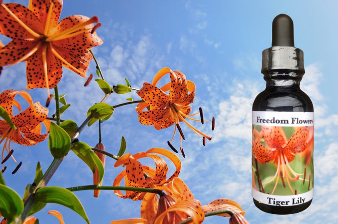 Tiger Lily Flower Essence