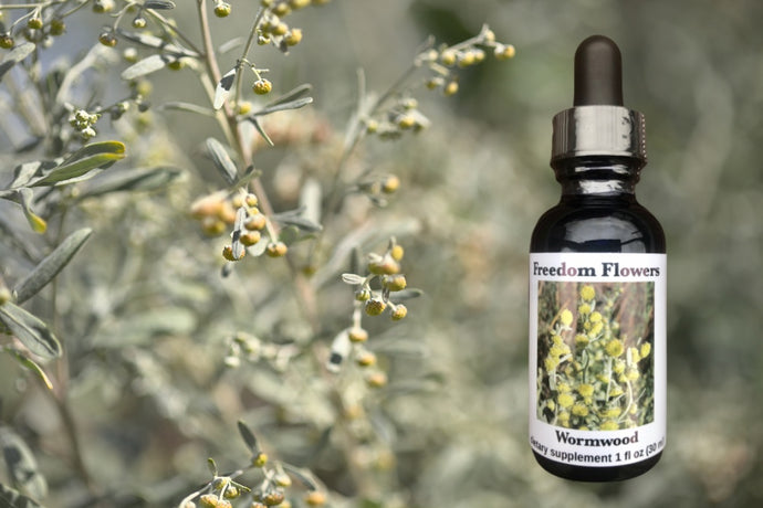 Wormwood Flower Essence